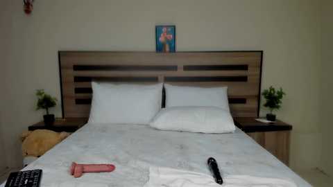 renee_18 @ stripchat on 20241211