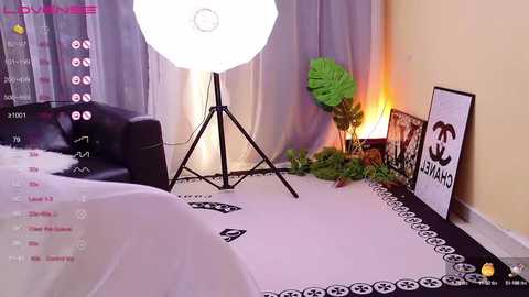 sss_gugu @ stripchat on 20241211