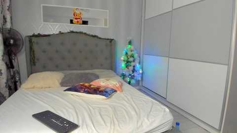 _adelle @ stripchat on 20241212