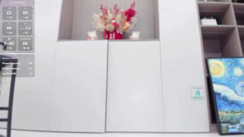 duduludululu @ stripchat on 20241212