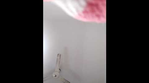 elifeela120 @ stripchat on 20241212