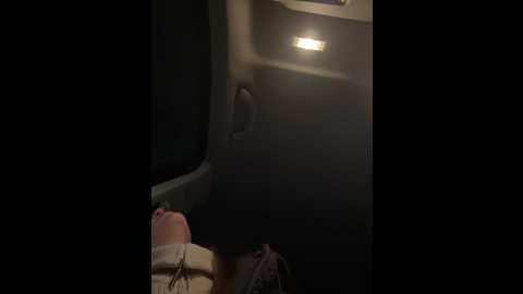 kittecat @ stripchat on 20241212