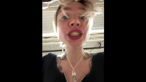 miss_elfie @ stripchat on 20241212