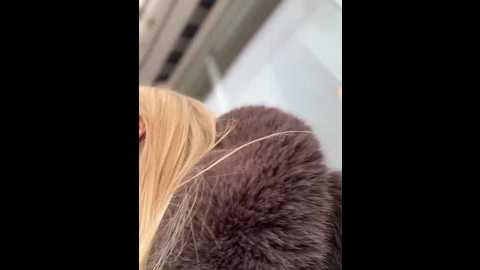 myrtle_beach @ stripchat on 20241212