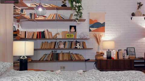 riskyproject @ stripchat on 20241212