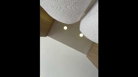 alimela @ stripchat on 20241213