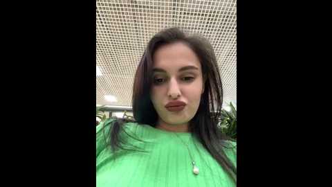 artemida_hot