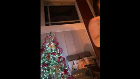 hannabeckett @ stripchat on 20241213