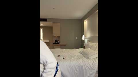 hotbella_ @ stripchat on 20241213