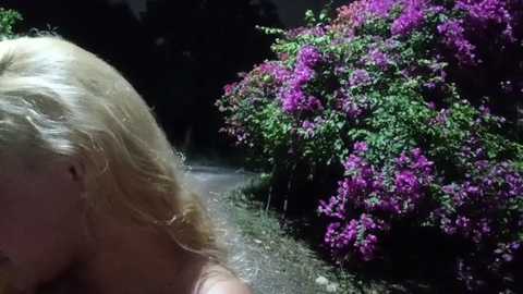 lifelucky @ stripchat on 20241213