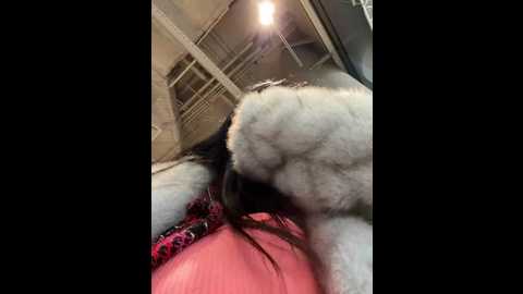 wet__bunny @ stripchat on 20241213