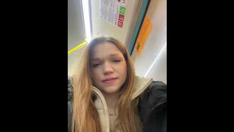 kittecat @ stripchat on 20241214