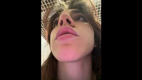 lily__belle @ stripchat on 20241214