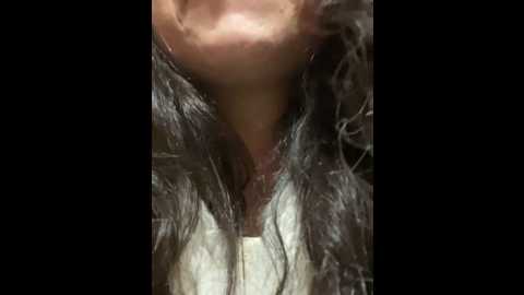 lina_twin @ stripchat on 20241215