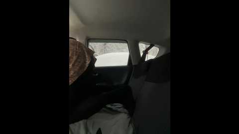 vikidemi @ stripchat on 20241215