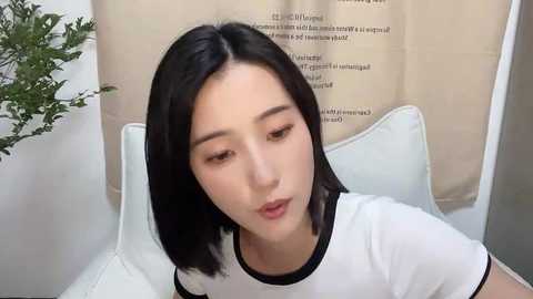 arrebo1 @ stripchat on 20241216