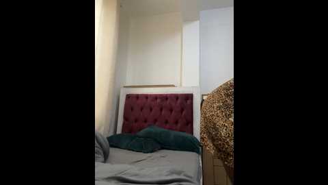 assiology__fuck_me_good1 @ stripchat on 20241216