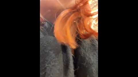 foxy_lexy @ stripchat on 20241216