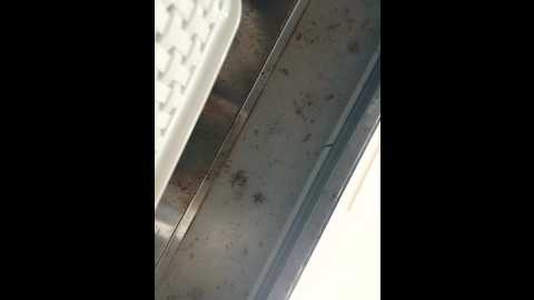 hello098712