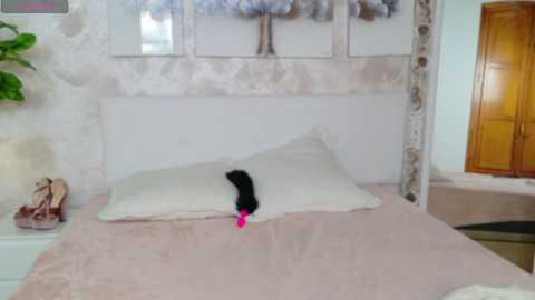 missukiy @ stripchat on 20241216