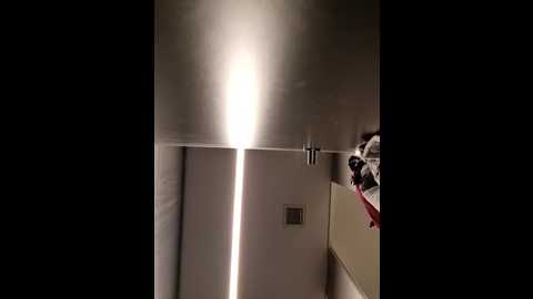 public_katrisha @ stripchat on 20241216