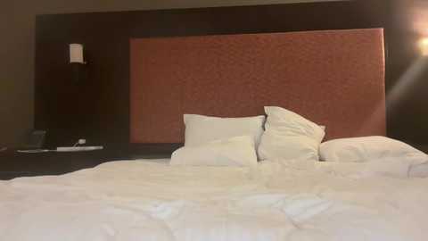 skarfosbabes69 @ stripchat on 20241216