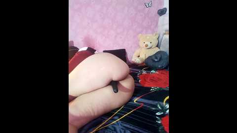 cat_sharisa