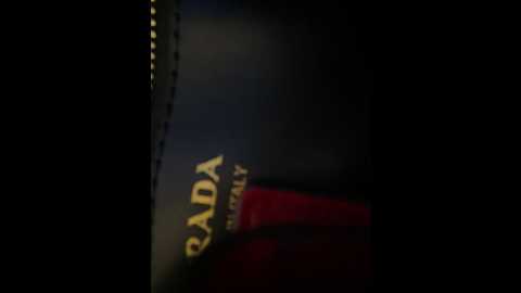 lina_twin @ stripchat on 20241217
