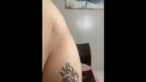 loira_strip