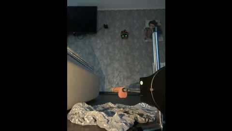 ruslanaxx @ stripchat on 20241218