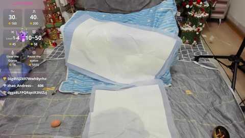 wumeinv @ stripchat on 20241218