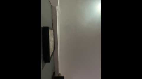 gipoltergeist @ stripchat on 20241219