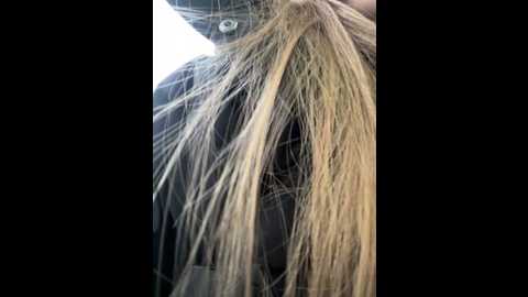 kittecat @ stripchat on 20241219