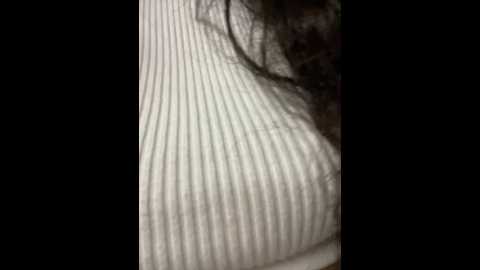 lina_twin @ stripchat on 20241219