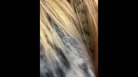 mur_girl @ stripchat on 20241219