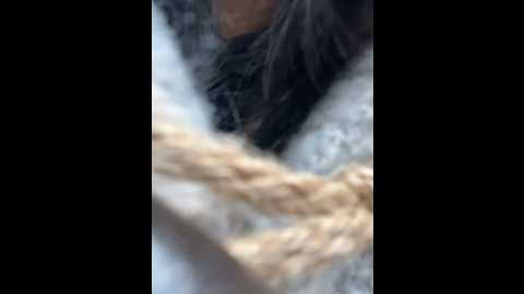 xixi_gala @ stripchat on 20241219