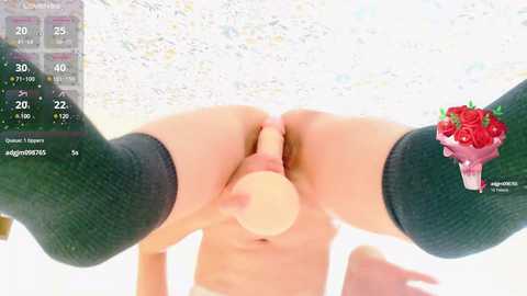 mechi_pippi