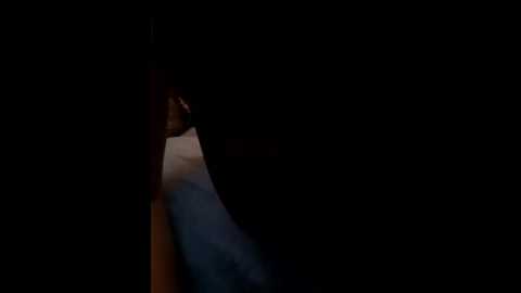 hana_bika @ stripchat on 20250529