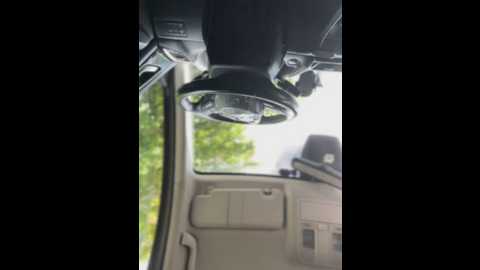 angelinateller @ stripchat on 20250530