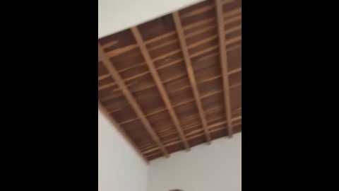 curchez_ @ stripchat on 20250530