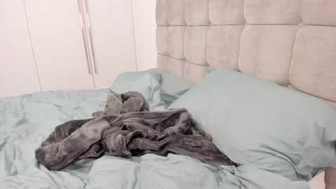 smileybabe @ stripchat on 20250530