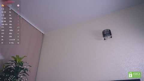 ammyscotch @ stripchat on 20250531