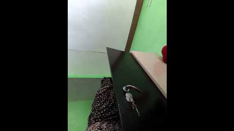 bansari_bhardwaj