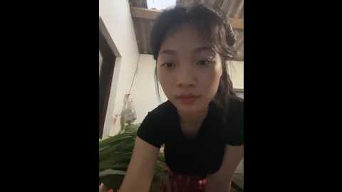 phayphay77 @ stripchat on 20250531