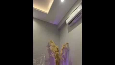 amberonee31 @ stripchat on 20250601