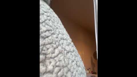 leelee169 @ stripchat on 20250601