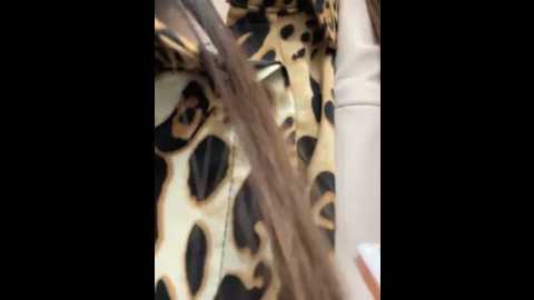 liza_risky @ stripchat on 20250601