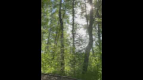 angelinateller @ stripchat on 20250602