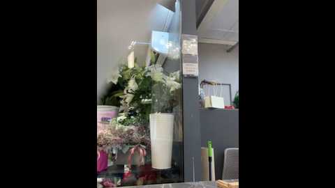 candyvice @ stripchat on 20250602