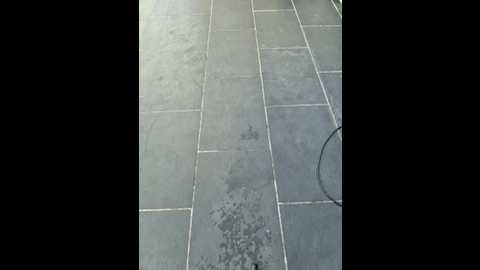 josyblack @ stripchat on 20250602